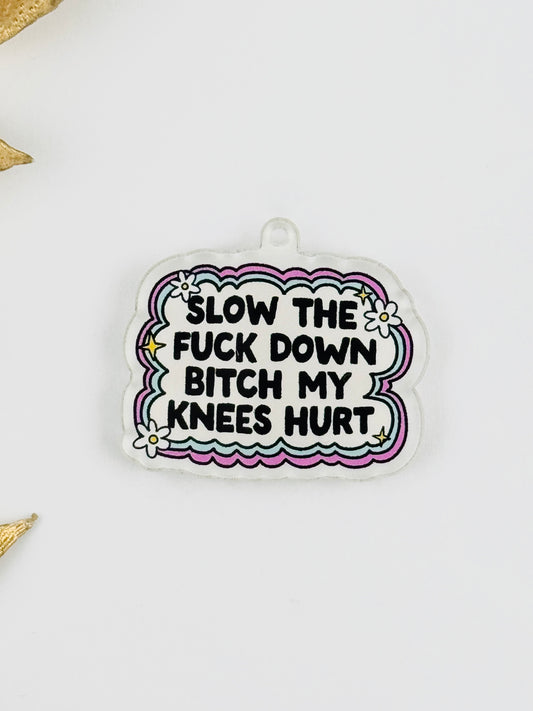 Dust Plug Charm ~ Slow The F*** Down Bit** My Knees Hurt