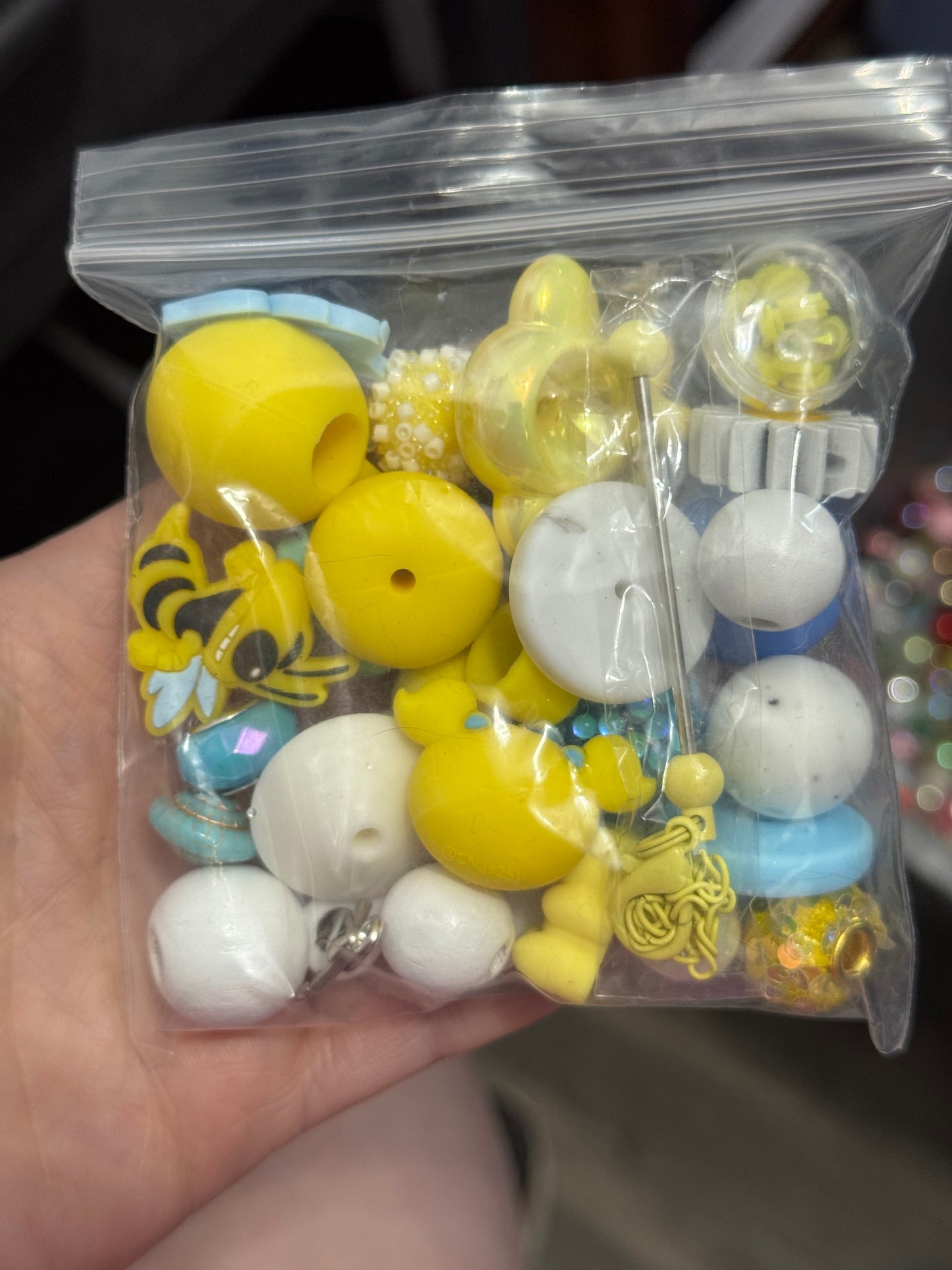 Destash Auction : Curated Chaos Bag #30