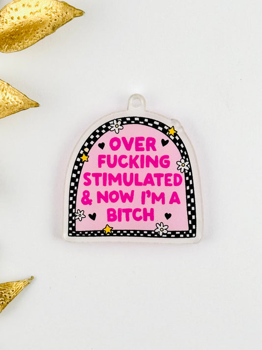 Dust Plug Charm ~ Over Stimulated And Now I’m A B****