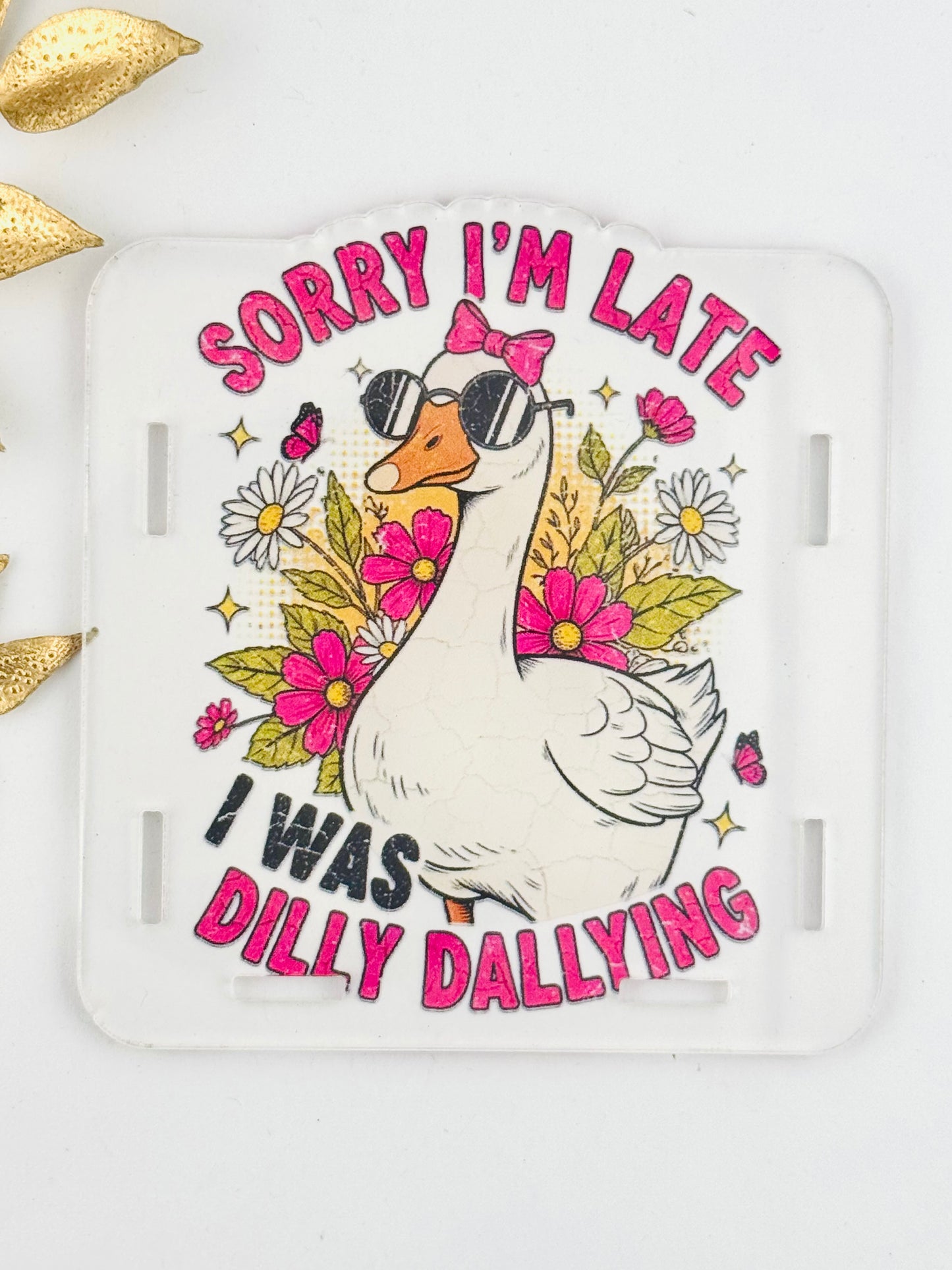 Acrylic Storage Box ~ Sorry I’m Late, I was Dilly Dallying *Custom