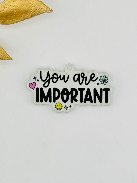Dust Plug Charm ~ You Are Important