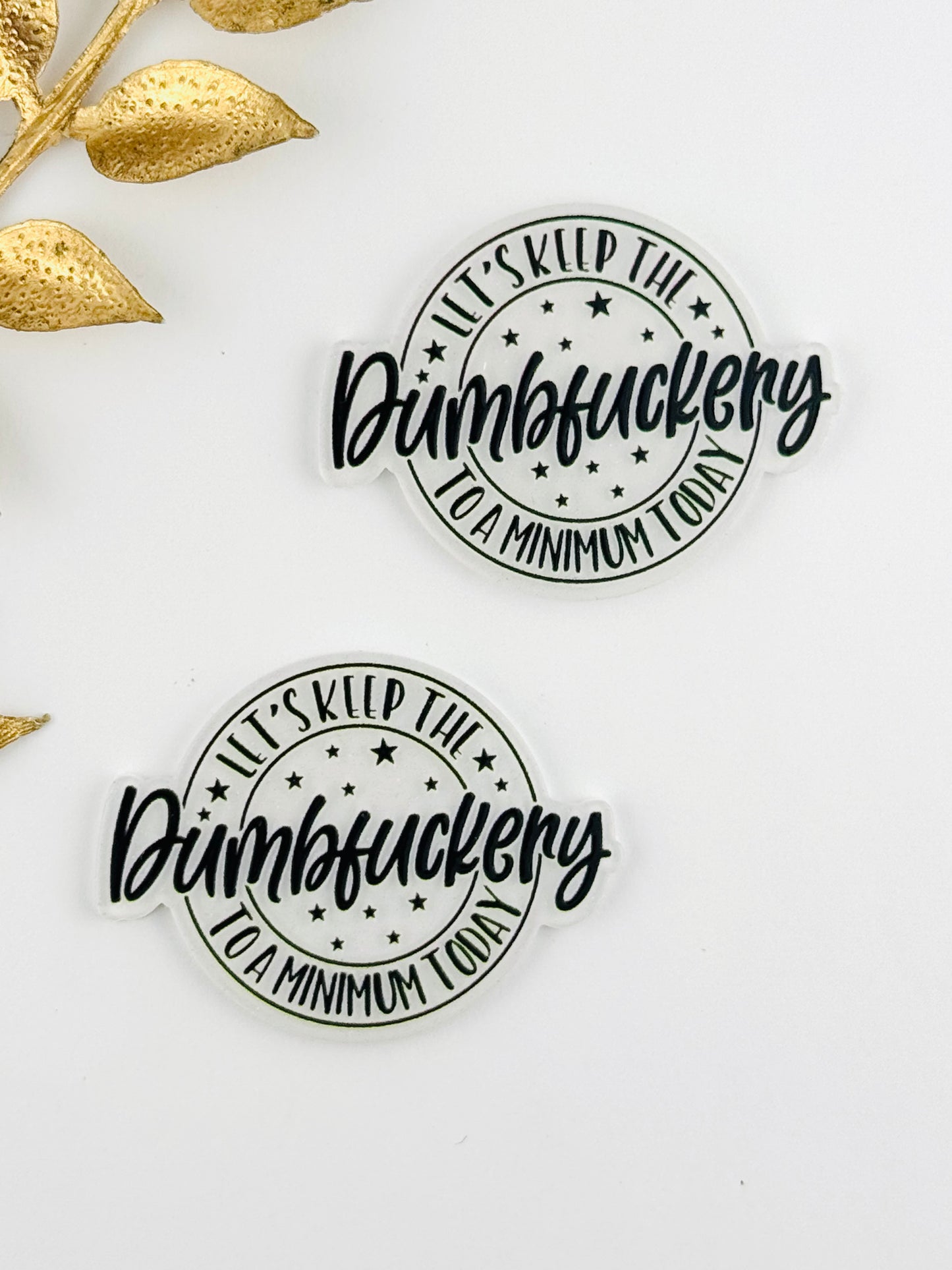 Glitter Acrylic Flatback ~ 233 ~ Let’s Keep The Dumbf***ery To A Mininum