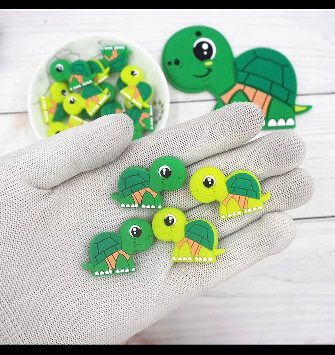 Turtle Focal (IS)