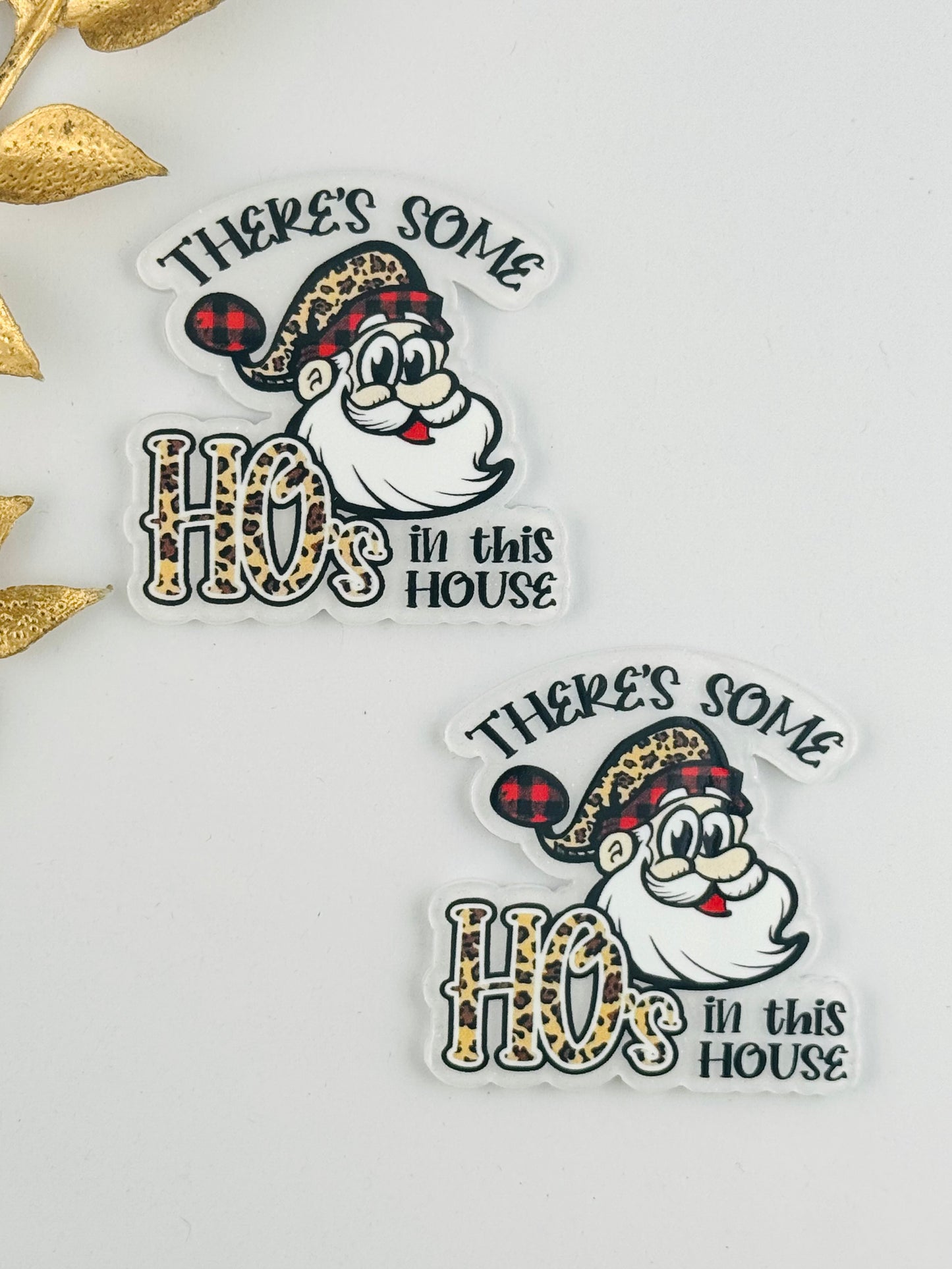 Glitter Acrylic Flatback ~ 117 ~ There’s Some Ho’s in the House