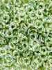 Opal Green