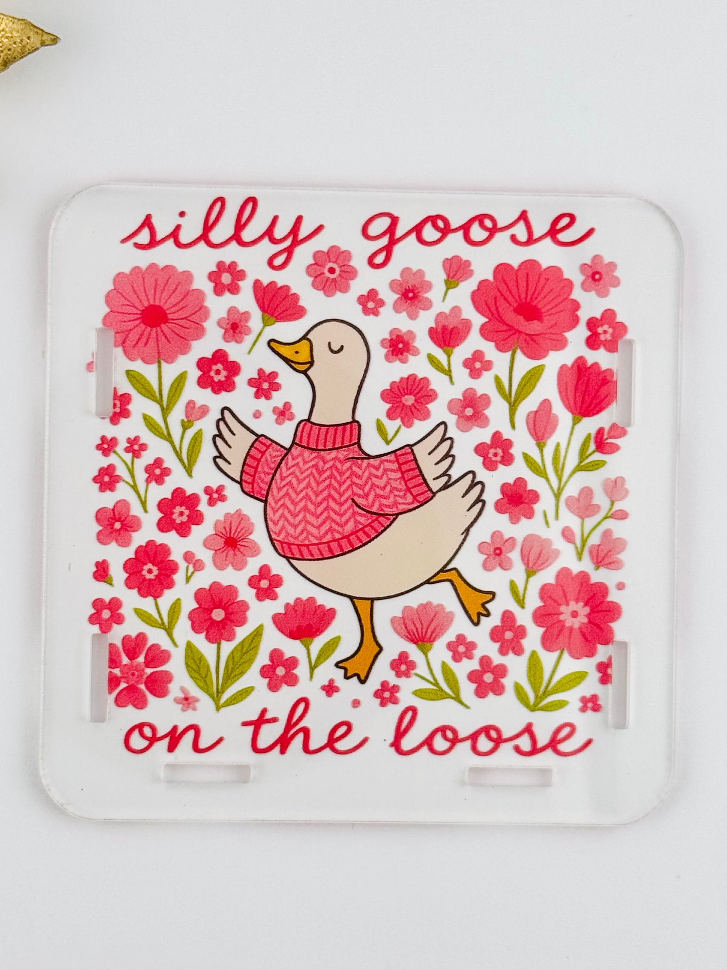 Acrylic Storage Box ~ Silly Goose *Custom