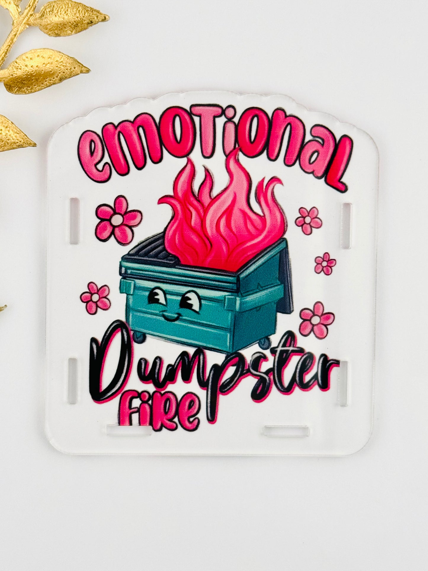 Acrylic Storage Box ~ Emotional Dumpster Fire