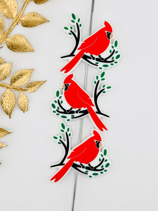 Cardinal On Branch Focal
