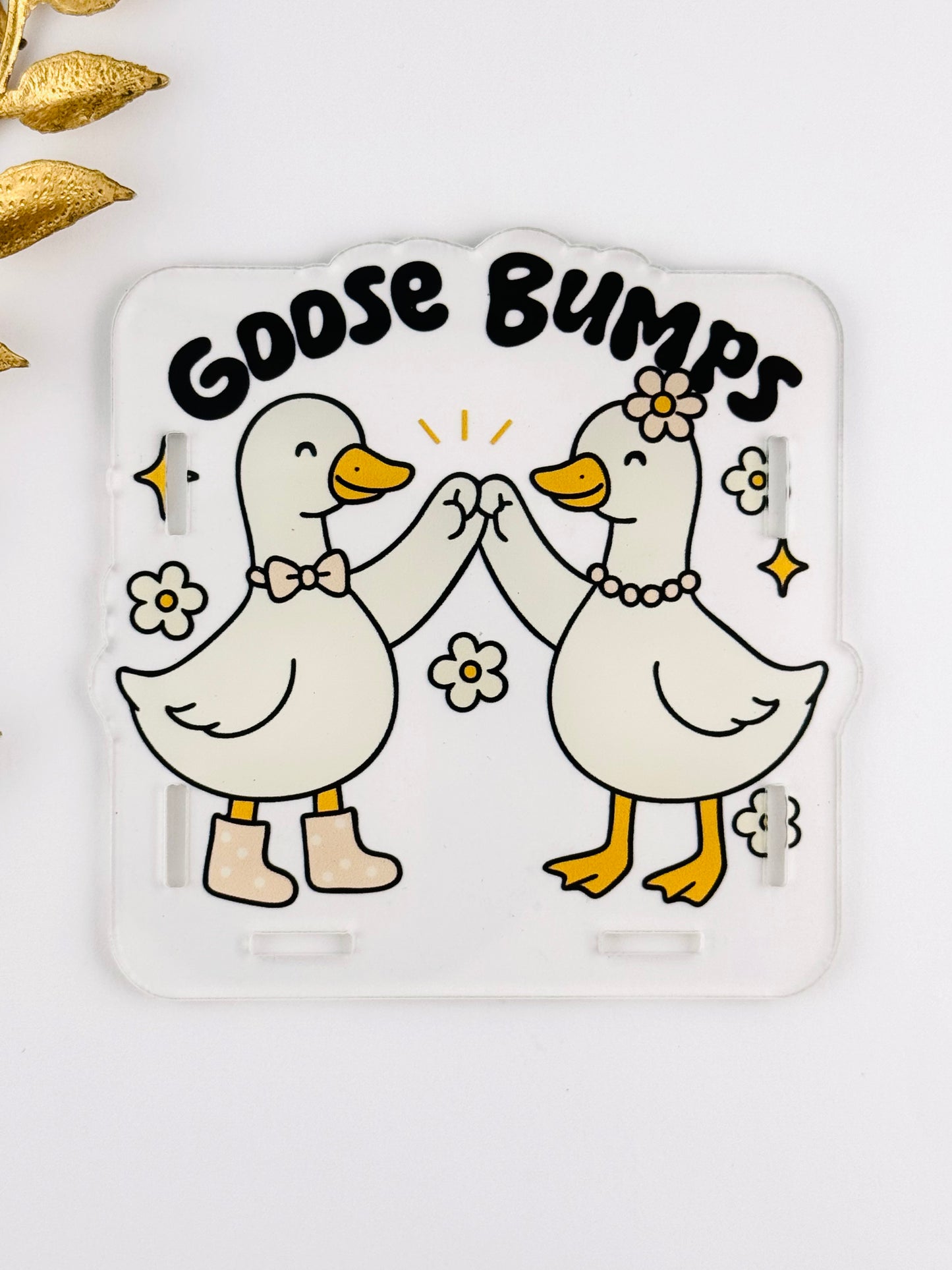 Acrylic Storage Box ~ Goose Bumps