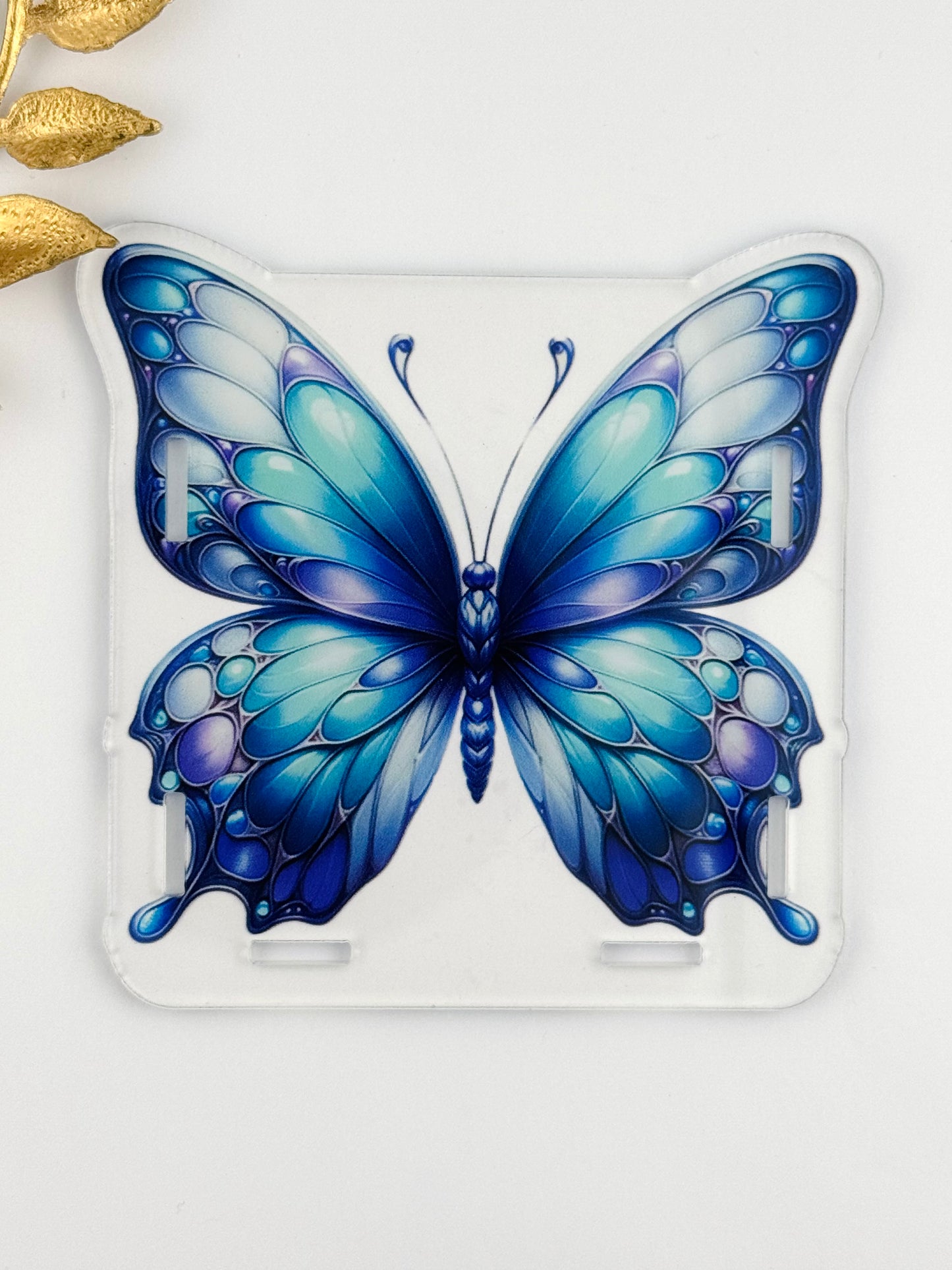 Acrylic Storage Box ~ Pretty Butterfly