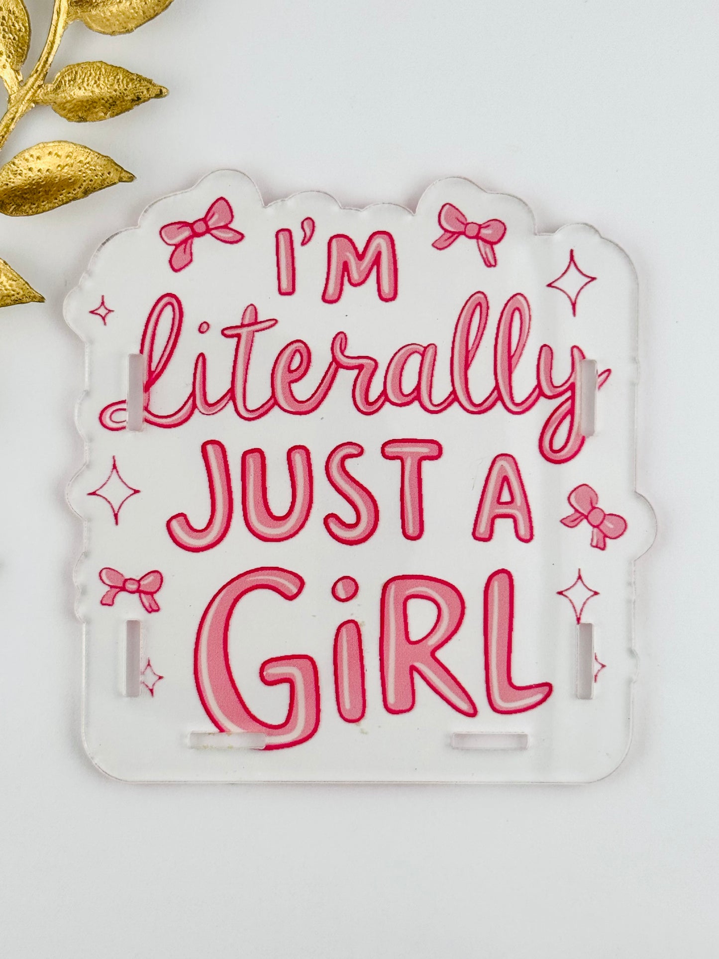 Acrylic Storage Box ~ Literally Just a Girl