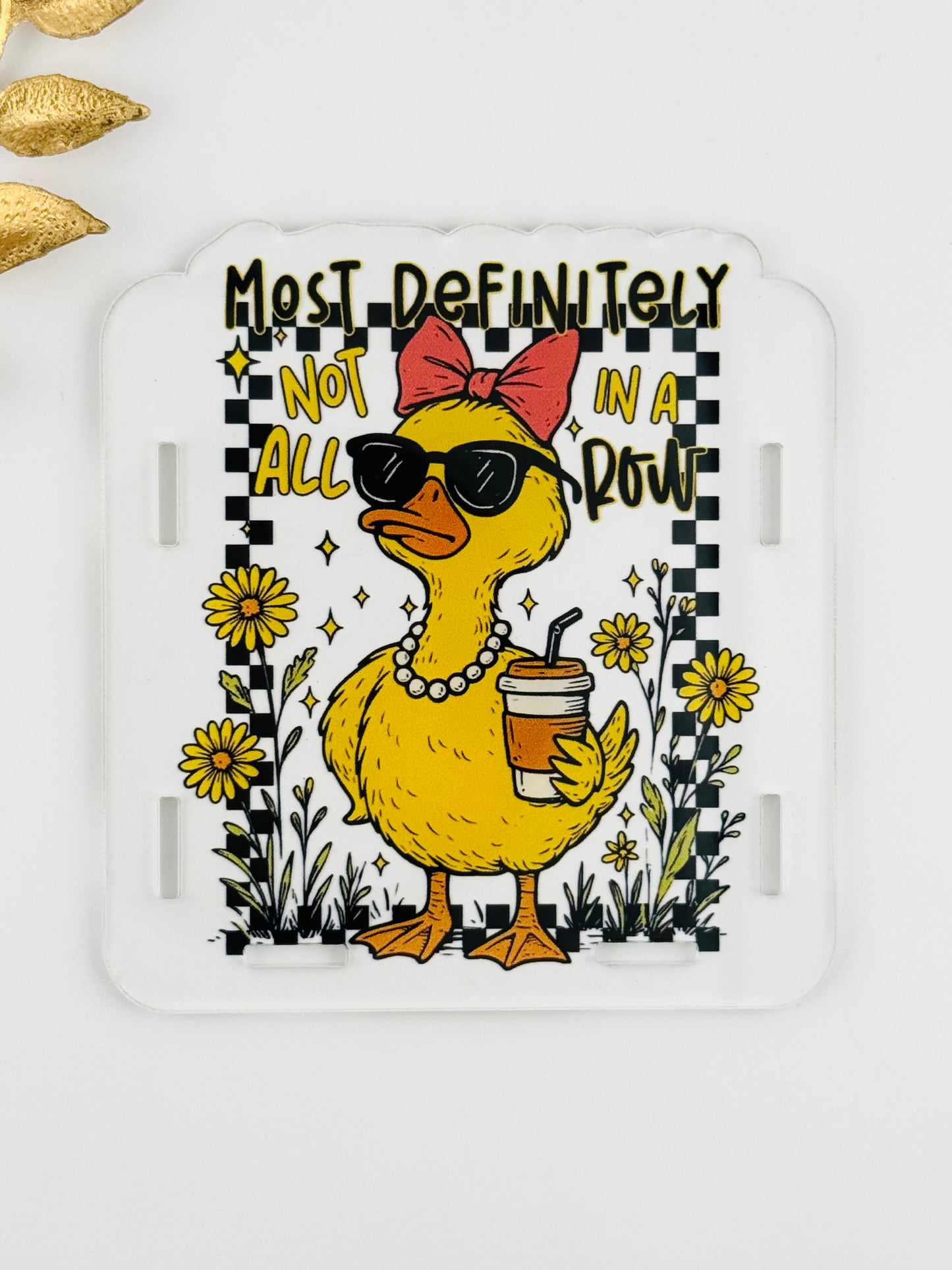 Acrylic Storage Box ~ Most Definitely Not In A Row