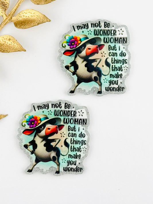 Glitter Acrylic Flatback ~ 189 ~ Do Things That Make You Wonder
