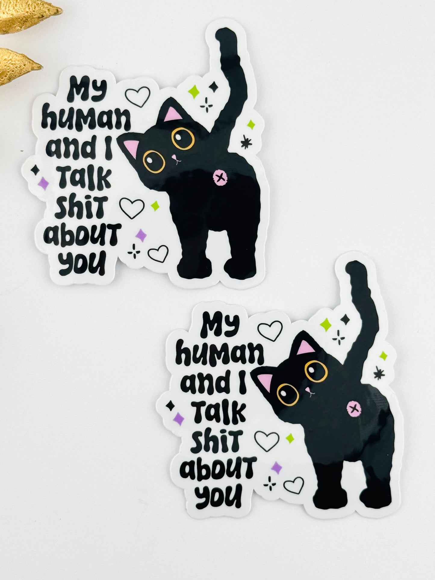 Sticker ~ My Human And I Talk Shit About You