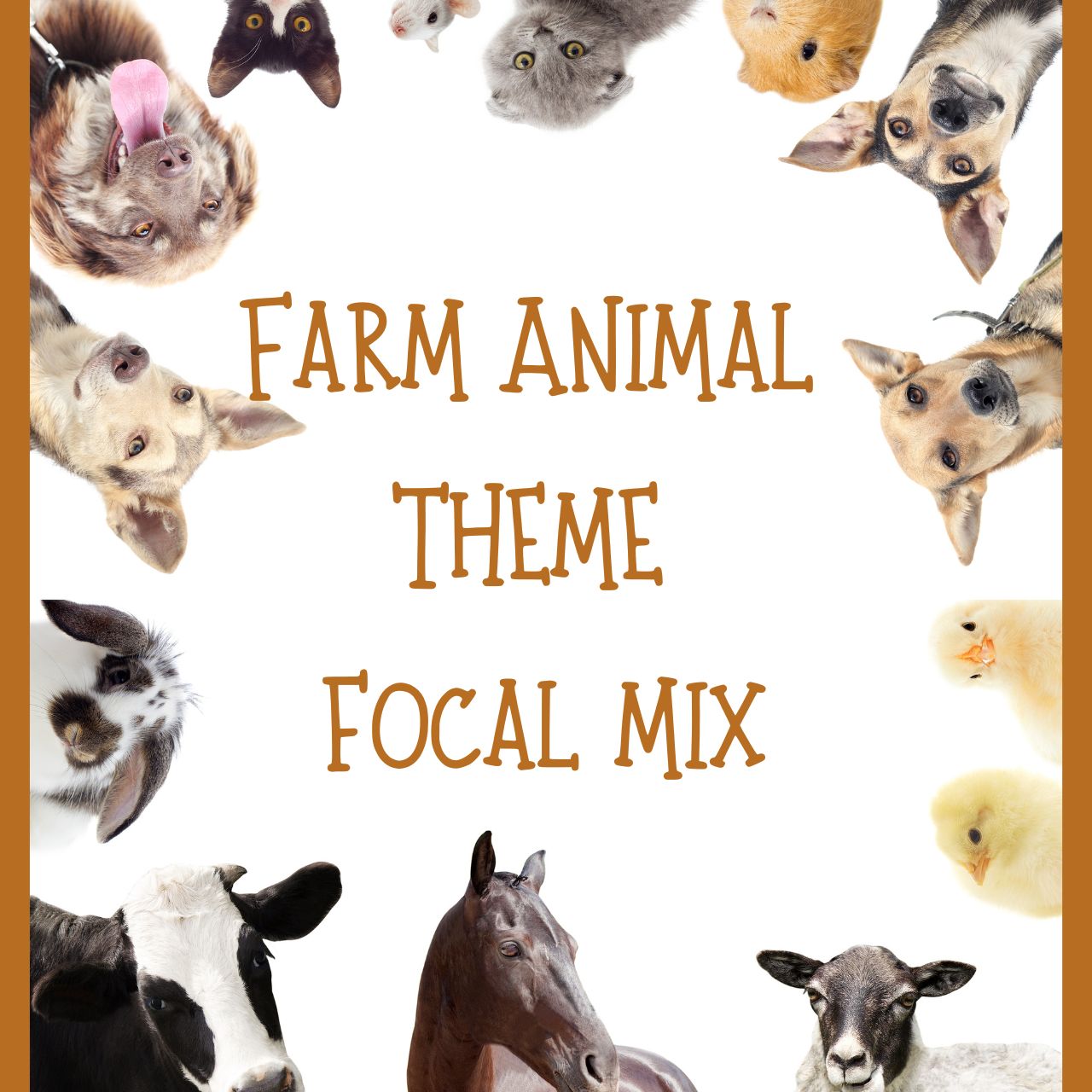 Farm Animal Theme Focal Mix (10ct)