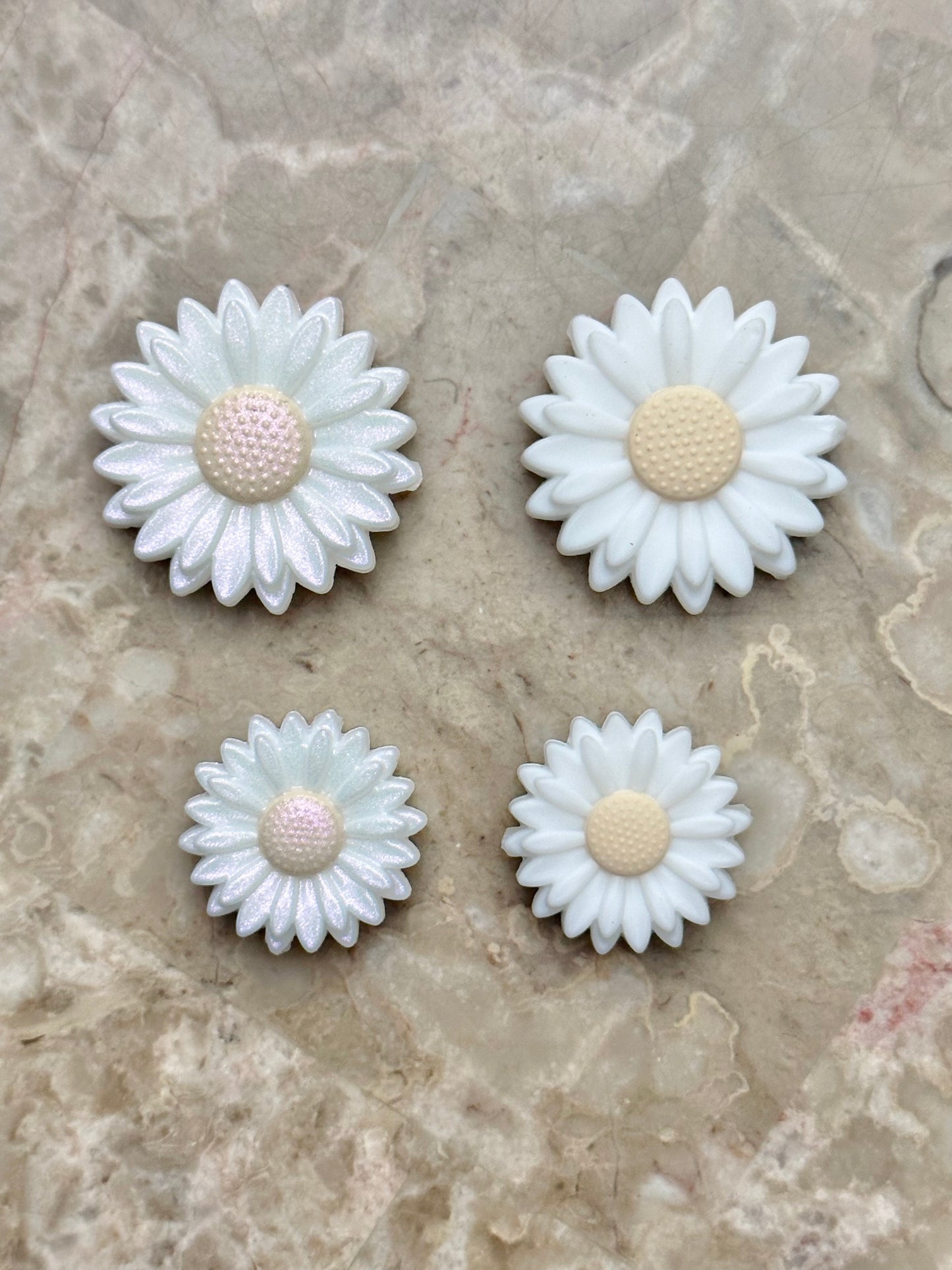 New Neutral White Daisy